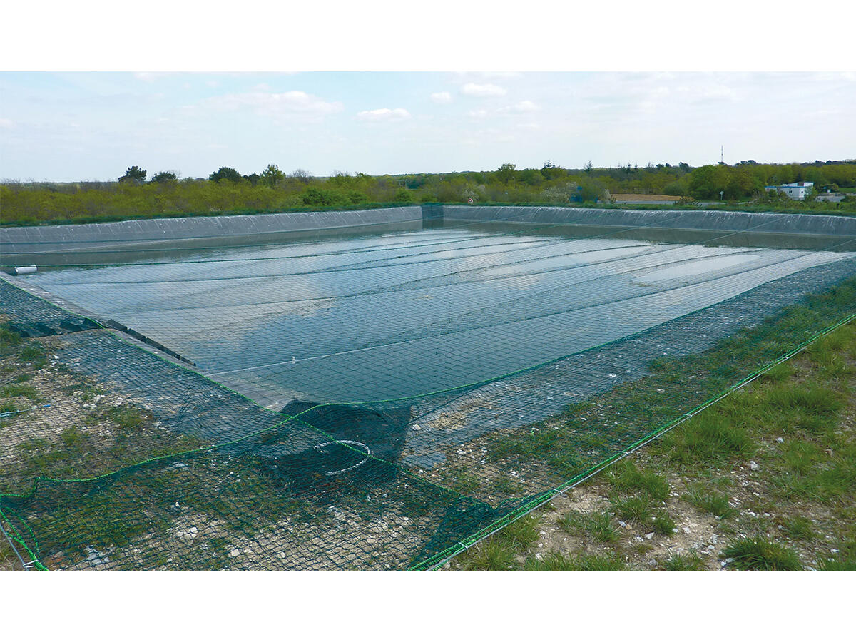 Pond cover nets